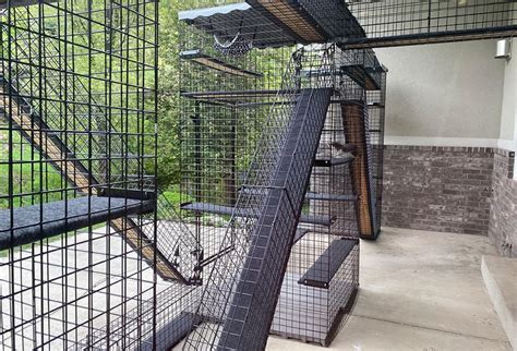 metal cat enclosures uk|metal outdoor cat enclosures.